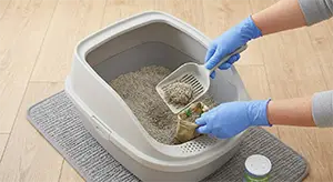 Daily-Litter-Scooping Daily-Litter-Scooping