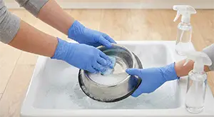 Food-Bowl-Cleaning Food-Bowl-Cleaning