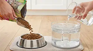Fresh-Food-and-Water-Replenishment Fresh-Food-and-Water-Replenishment