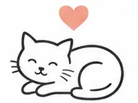 รับดูแลแมวถึงบ้าน cat